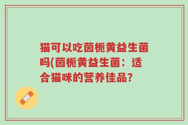 猫可以吃茵栀黄益生菌吗(茵栀黄益生菌:适合猫咪的营养佳品?-第1张图片-超越 猫可以吃茵栀黄益生菌吗(茵栀黄益生菌:适合猫咪的营养佳品?-第1张图片-超越