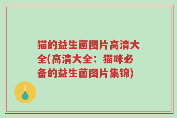 猫的益生菌图片高清大全(高清大全:猫咪必备的益生菌图片集锦)-第1张图片-超越 猫的益生菌图片高清大全(高清大全:猫咪必备的益生菌图片集锦)-第1张图片-超越