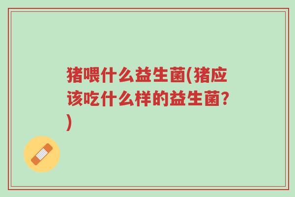 猪喂什么益生菌(猪应该吃什么样的益生菌?)-第1张图片-超越 猪喂什么益生菌(猪应该吃什么样的益生菌?)-第1张图片-超越