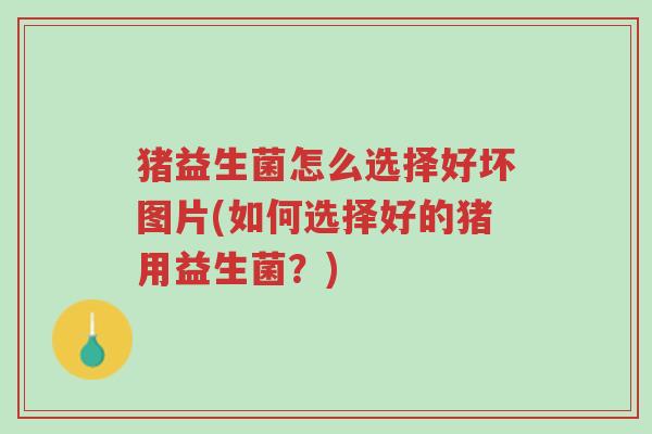 猪益生菌怎么选择好坏图片(如何选择好的猪用益生菌?)-第1张图片-超越 猪益生菌怎么选择好坏图片(如何选择好的猪用益生菌?)-第1张图片-超越