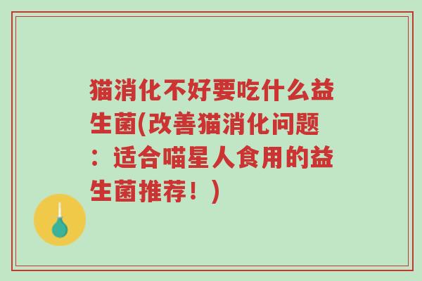 猫消化不好要吃什么益生菌(改善猫消化问题:适合喵星人食用的益生菌推荐!)-第1张图片-超越 猫消化不好要吃什么益生菌(改善猫消化问题:适合喵星人食用的益生菌推荐!)-第1张图片-超越