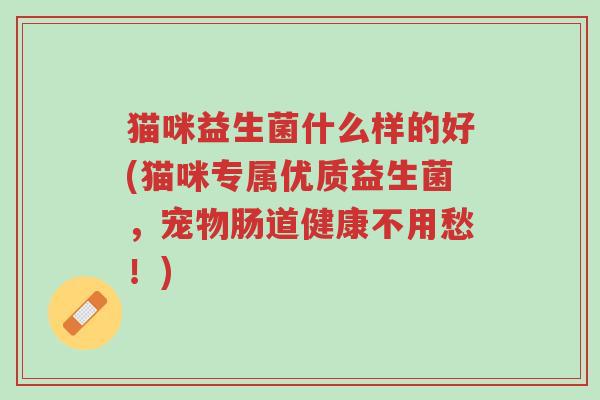 猫咪益生菌什么样的好(猫咪专属优质益生菌,宠物肠道健康不用愁!)-第1张图片-超越 猫咪益生菌什么样的好(猫咪专属优质益生菌,宠物肠道健康不用愁!)-第1张图片-超越
