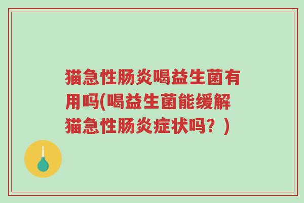 猫急性肠炎喝益生菌有用吗(喝益生菌能缓解猫急性肠炎症状吗?)-第1张图片-超越 猫急性肠炎喝益生菌有用吗(喝益生菌能缓解猫急性肠炎症状吗?)-第1张图片-超越