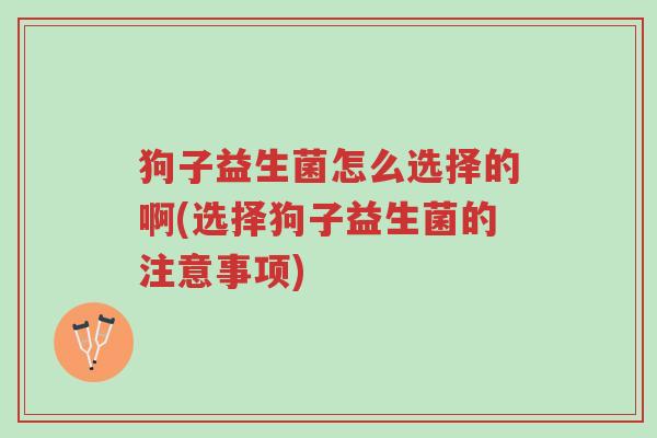 狗子益生菌怎么选择的啊(选择狗子益生菌的注意事项)-第1张图片-超越 狗子益生菌怎么选择的啊(选择狗子益生菌的注意事项)-第1张图片-超越