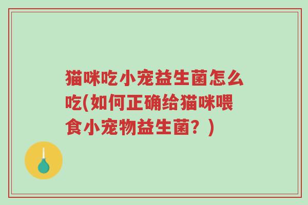 猫咪吃小宠益生菌怎么吃(如何正确给猫咪喂食小宠物益生菌?)-第1张图片-超越 猫咪吃小宠益生菌怎么吃(如何正确给猫咪喂食小宠物益生菌?)-第1张图片-超越