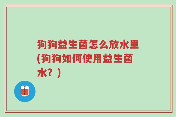 狗狗益生菌怎么放水里(狗狗如何使用益生菌水?)-第1张图片-超越 狗狗益生菌怎么放水里(狗狗如何使用益生菌水?)-第1张图片-超越
