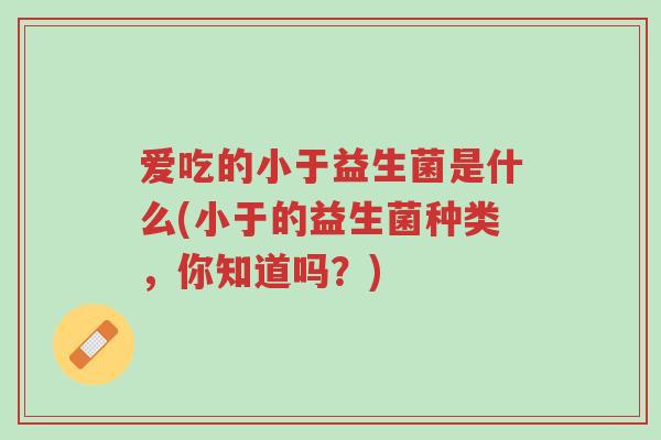 爱吃的小于益生菌是什么(小于的益生菌种类，你知道吗？)-第1张图片-超越