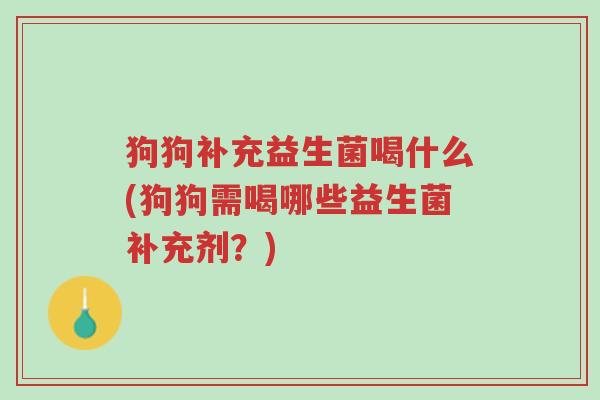 狗狗补充益生菌喝什么(狗狗需喝哪些益生菌补充剂?)-第1张图片-超越 狗狗补充益生菌喝什么(狗狗需喝哪些益生菌补充剂?)-第1张图片-超越