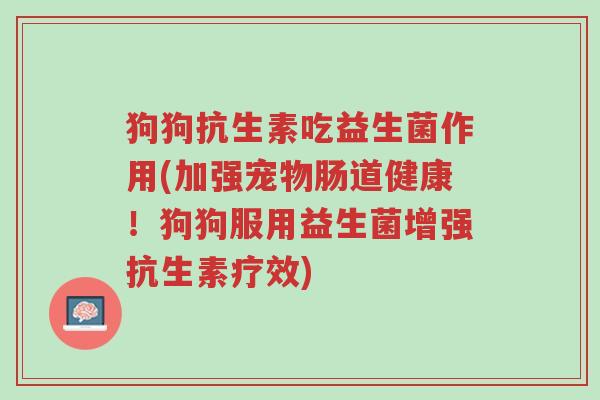 狗狗抗生素吃益生菌作用(加强宠物肠道健康!狗狗服用益生菌增强抗生素疗效)-第1张图片-超越 狗狗抗生素吃益生菌作用(加强宠物肠道健康!狗狗服用益生菌增强抗生素疗效)-第1张图片-超越