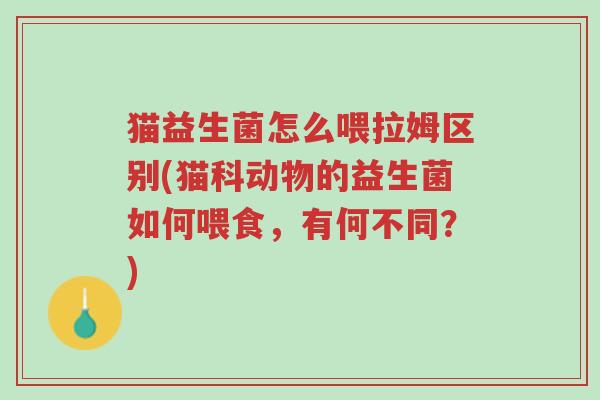 猫益生菌怎么喂拉姆区别(猫科动物的益生菌如何喂食,有何不同?)-第1张图片-超越 猫益生菌怎么喂拉姆区别(猫科动物的益生菌如何喂食,有何不同?)-第1张图片-超越