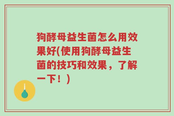 狗酵母益生菌怎么用效果好(使用狗酵母益生菌的技巧和效果,了解一下!)-第1张图片-超越 狗酵母益生菌怎么用效果好(使用狗酵母益生菌的技巧和效果,了解一下!)-第1张图片-超越