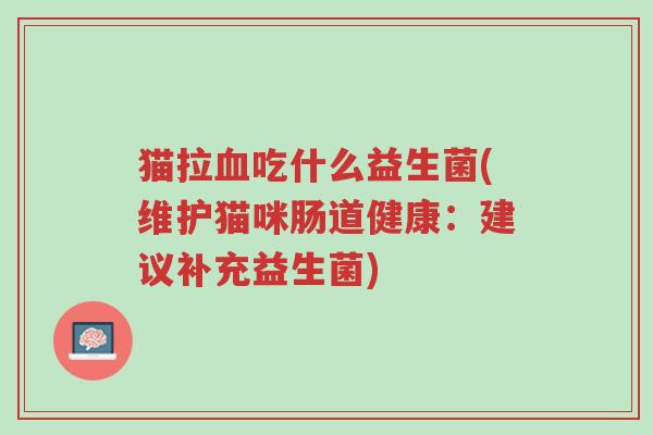 猫拉血吃什么益生菌(维护猫咪肠道健康：建议补充益生菌)-第1张图片-超越