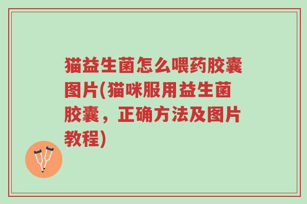 猫益生菌怎么喂药胶囊图片(猫咪服用益生菌胶囊,正确方法及图片教程)-第1张图片-超越 猫益生菌怎么喂药胶囊图片(猫咪服用益生菌胶囊,正确方法及图片教程)-第1张图片-超越