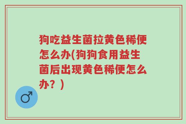 狗吃益生菌拉黄色稀便怎么办(狗狗食用益生菌后出现黄色稀便怎么办?)-第1张图片-超越 狗吃益生菌拉黄色稀便怎么办(狗狗食用益生菌后出现黄色稀便怎么办?)-第1张图片-超越