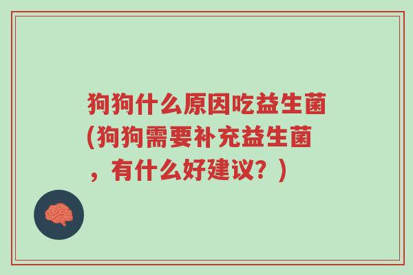 狗狗什么原因吃益生菌(狗狗需要补充益生菌,有什么好建议?)-第1张图片-超越 狗狗什么原因吃益生菌(狗狗需要补充益生菌,有什么好建议?)-第1张图片-超越