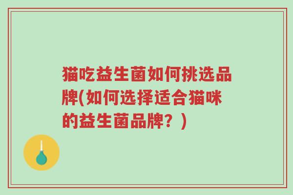 猫吃益生菌如何挑选品牌(如何选择适合猫咪的益生菌品牌?)-第1张图片-超越 猫吃益生菌如何挑选品牌(如何选择适合猫咪的益生菌品牌?)-第1张图片-超越