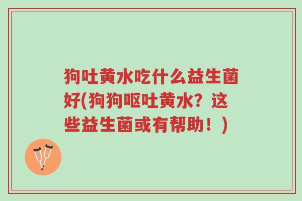 狗吐黄水吃什么益生菌好(狗狗呕吐黄水?这些益生菌或有帮助!)-第1张图片-超越 狗吐黄水吃什么益生菌好(狗狗呕吐黄水?这些益生菌或有帮助!)-第1张图片-超越