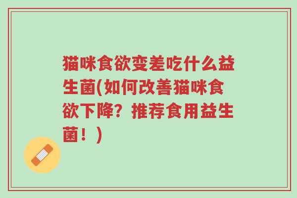 猫咪食欲变差吃什么益生菌(如何改善猫咪食欲下降？推荐食用益生菌！)-第1张图片-超越