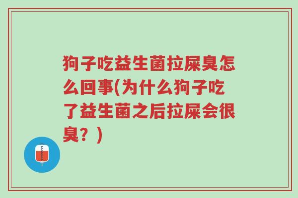 狗子吃益生菌拉屎臭怎么回事(为什么狗子吃了益生菌之后拉屎会很臭？)-第1张图片-超越