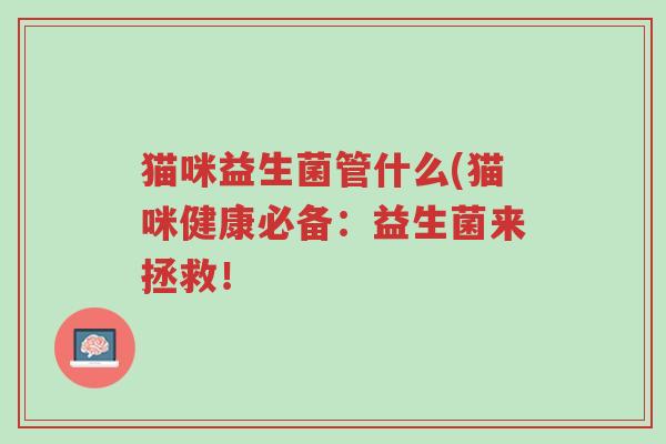 猫咪益生菌管什么(猫咪健康必备:益生菌来拯救!-第1张图片-超越 猫咪益生菌管什么(猫咪健康必备:益生菌来拯救!-第1张图片-超越