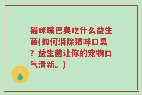猫咪嘴巴臭吃什么益生菌(如何消除猫咪口臭?益生菌让你的宠物口气清新。)-第1张图片-超越 猫咪嘴巴臭吃什么益生菌(如何消除猫咪口臭?益生菌让你的宠物口气清新。)-第1张图片-超越