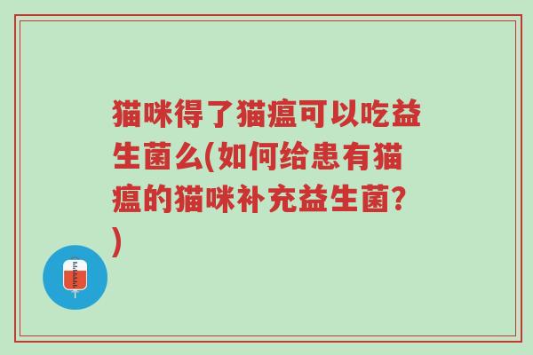 猫咪得了猫瘟可以吃益生菌么(如何给患有猫瘟的猫咪补充益生菌?)-第1张图片-超越 猫咪得了猫瘟可以吃益生菌么(如何给患有猫瘟的猫咪补充益生菌?)-第1张图片-超越