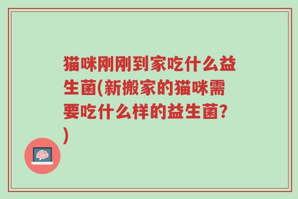 猫咪刚刚到家吃什么益生菌(新搬家的猫咪需要吃什么样的益生菌?)-第1张图片-超越 猫咪刚刚到家吃什么益生菌(新搬家的猫咪需要吃什么样的益生菌?)-第1张图片-超越