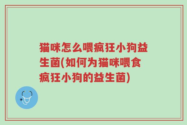 猫咪怎么喂疯狂小狗益生菌(如何为猫咪喂食疯狂小狗的益生菌)-第1张图片-超越 猫咪怎么喂疯狂小狗益生菌(如何为猫咪喂食疯狂小狗的益生菌)-第1张图片-超越