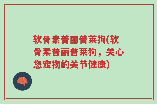 软骨素普丽普莱狗(软骨素普丽普莱狗,关心您宠物的关节健康)-第1张图片-超越 软骨素普丽普莱狗(软骨素普丽普莱狗,关心您宠物的关节健康)-第1张图片-超越