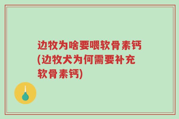 边牧为啥要喂软骨素钙(边牧犬为何需要补充软骨素钙)-第1张图片-超越