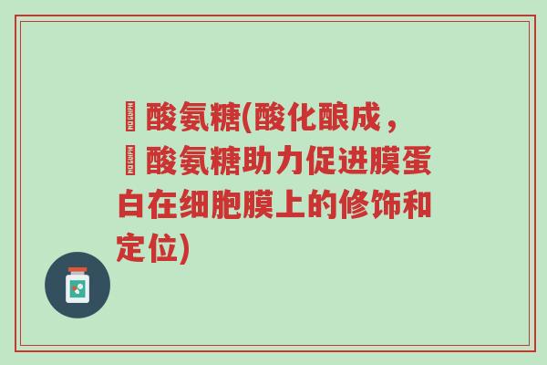 酼酸氨糖(酸化酿成,酼酸氨糖助力促进膜蛋白在细胞膜上的修饰和定位)-第1张图片-超越 酼酸氨糖(酸化酿成,酼酸氨糖助力促进膜蛋白在细胞膜上的修饰和定位)-第1张图片-超越