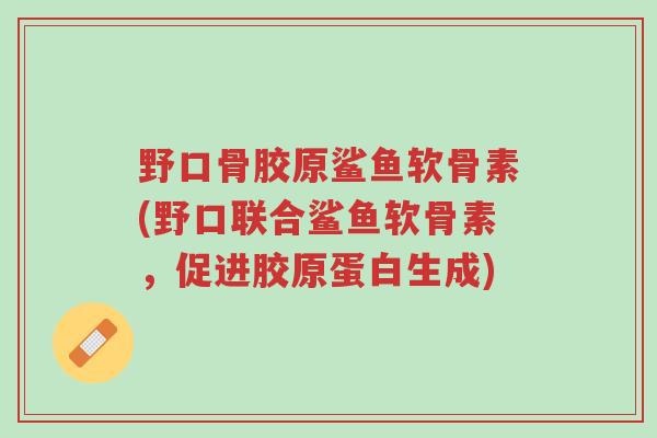 野口骨胶原鲨鱼软骨素(野口联合鲨鱼软骨素,促进胶原蛋白生成)-第1张图片-超越 野口骨胶原鲨鱼软骨素(野口联合鲨鱼软骨素,促进胶原蛋白生成)-第1张图片-超越