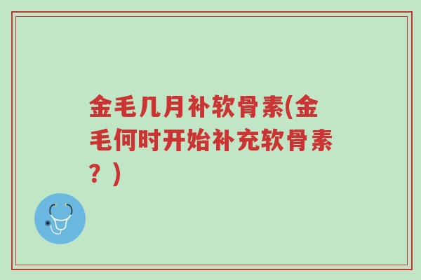 金毛几月补软骨素(金毛何时开始补充软骨素?)-第1张图片-超越 金毛几月补软骨素(金毛何时开始补充软骨素?)-第1张图片-超越