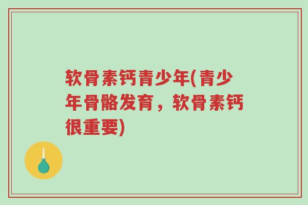 软骨素钙青少年(青少年骨骼发育,软骨素钙很重要)-第1张图片-超越 软骨素钙青少年(青少年骨骼发育,软骨素钙很重要)-第1张图片-超越