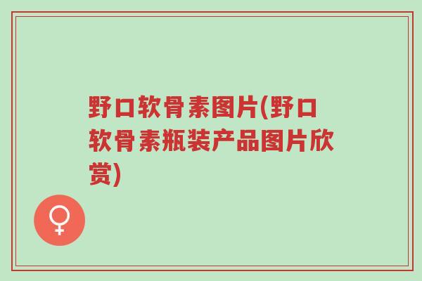 野口软骨素图片(野口软骨素瓶装产品图片欣赏)-第1张图片-超越 野口软骨素图片(野口软骨素瓶装产品图片欣赏)-第1张图片-超越