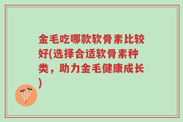 金毛吃哪款软骨素比较好(选择合适软骨素种类,助力金毛健康成长)-第1张图片-超越 金毛吃哪款软骨素比较好(选择合适软骨素种类,助力金毛健康成长)-第1张图片-超越