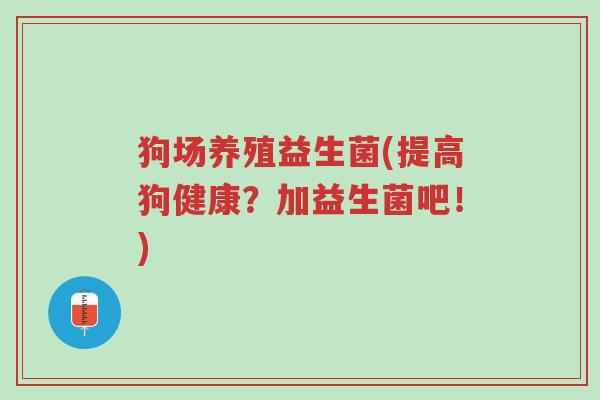 狗场养殖益生菌(提高狗健康?加益生菌吧!)-第1张图片-超越 狗场养殖益生菌(提高狗健康?加益生菌吧!)-第1张图片-超越