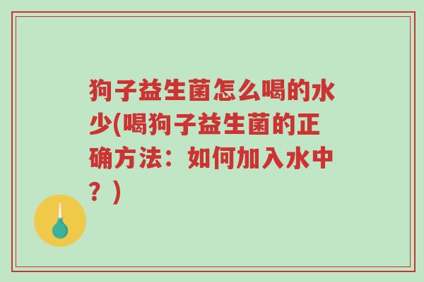 狗子益生菌怎么喝的水少(喝狗子益生菌的正确方法:如何加入水中?)-第1张图片-超越 狗子益生菌怎么喝的水少(喝狗子益生菌的正确方法:如何加入水中?)-第1张图片-超越