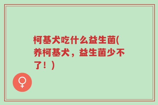 柯基犬吃什么益生菌(养柯基犬,益生菌少不了!)-第1张图片-超越 柯基犬吃什么益生菌(养柯基犬,益生菌少不了!)-第1张图片-超越