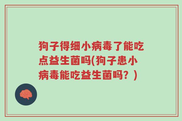 狗子得细小病毒了能吃点益生菌吗(狗子患小病毒能吃益生菌吗?)-第1张图片-超越 狗子得细小病毒了能吃点益生菌吗(狗子患小病毒能吃益生菌吗?)-第1张图片-超越