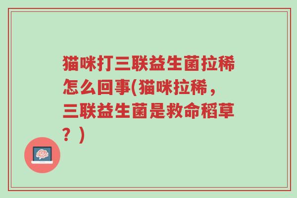 猫咪打三联益生菌拉稀怎么回事(猫咪拉稀,三联益生菌是救命稻草?)-第1张图片-超越 猫咪打三联益生菌拉稀怎么回事(猫咪拉稀,三联益生菌是救命稻草?)-第1张图片-超越