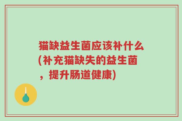 猫缺益生菌应该补什么(补充猫缺失的益生菌,提升肠道健康)-第1张图片-超越 猫缺益生菌应该补什么(补充猫缺失的益生菌,提升肠道健康)-第1张图片-超越
