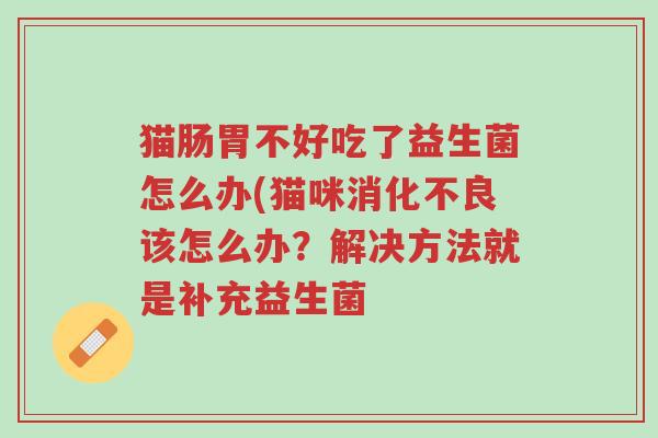 猫肠胃不好吃了益生菌怎么办(猫咪消化不良该怎么办？解决方法就是补充益生菌-第1张图片-超越