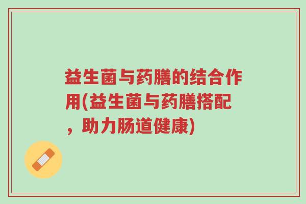 益生菌与药膳的结合作用(益生菌与药膳搭配,助力肠道健康)-第1张图片-超越 益生菌与药膳的结合作用(益生菌与药膳搭配,助力肠道健康)-第1张图片-超越