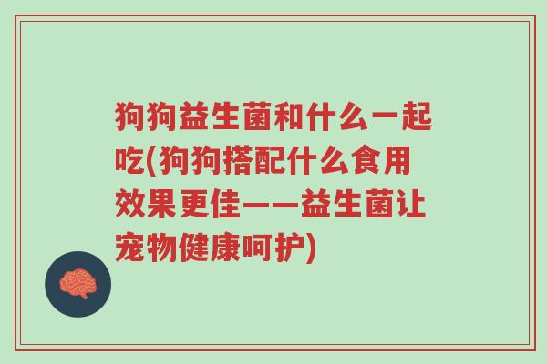 狗狗益生菌和什么一起吃(狗狗搭配什么食用效果更佳——益生菌让宠物健康呵护)-第1张图片-超越 狗狗益生菌和什么一起吃(狗狗搭配什么食用效果更佳——益生菌让宠物健康呵护)-第1张图片-超越