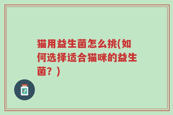 猫用益生菌怎么挑(如何选择适合猫咪的益生菌？)-第1张图片-超越