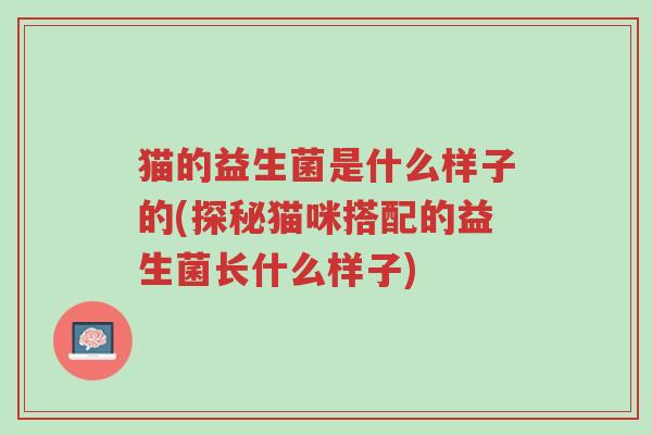 猫的益生菌是什么样子的(探秘猫咪搭配的益生菌长什么样子)-第1张图片-超越 猫的益生菌是什么样子的(探秘猫咪搭配的益生菌长什么样子)-第1张图片-超越