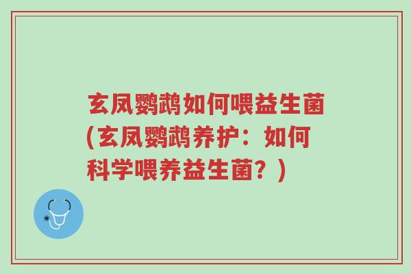 玄凤鹦鹉如何喂益生菌(玄凤鹦鹉养护:如何科学喂养益生菌?)-第1张图片-超越 玄凤鹦鹉如何喂益生菌(玄凤鹦鹉养护:如何科学喂养益生菌?)-第1张图片-超越