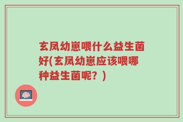 玄凤幼崽喂什么益生菌好(玄凤幼崽应该喂哪种益生菌呢?)-第1张图片-超越 玄凤幼崽喂什么益生菌好(玄凤幼崽应该喂哪种益生菌呢?)-第1张图片-超越