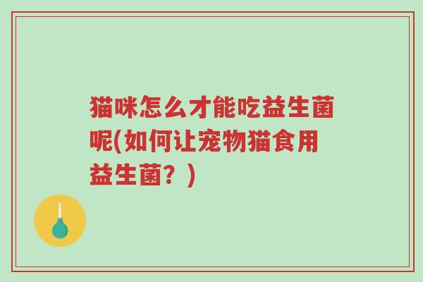 猫咪怎么才能吃益生菌呢(如何让宠物猫食用益生菌?)-第1张图片-超越 猫咪怎么才能吃益生菌呢(如何让宠物猫食用益生菌?)-第1张图片-超越